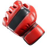 MMA Sports icon
